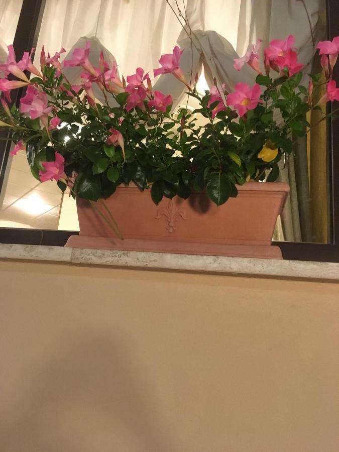 פיוג'י Hotel Sud America מראה חיצוני תמונה